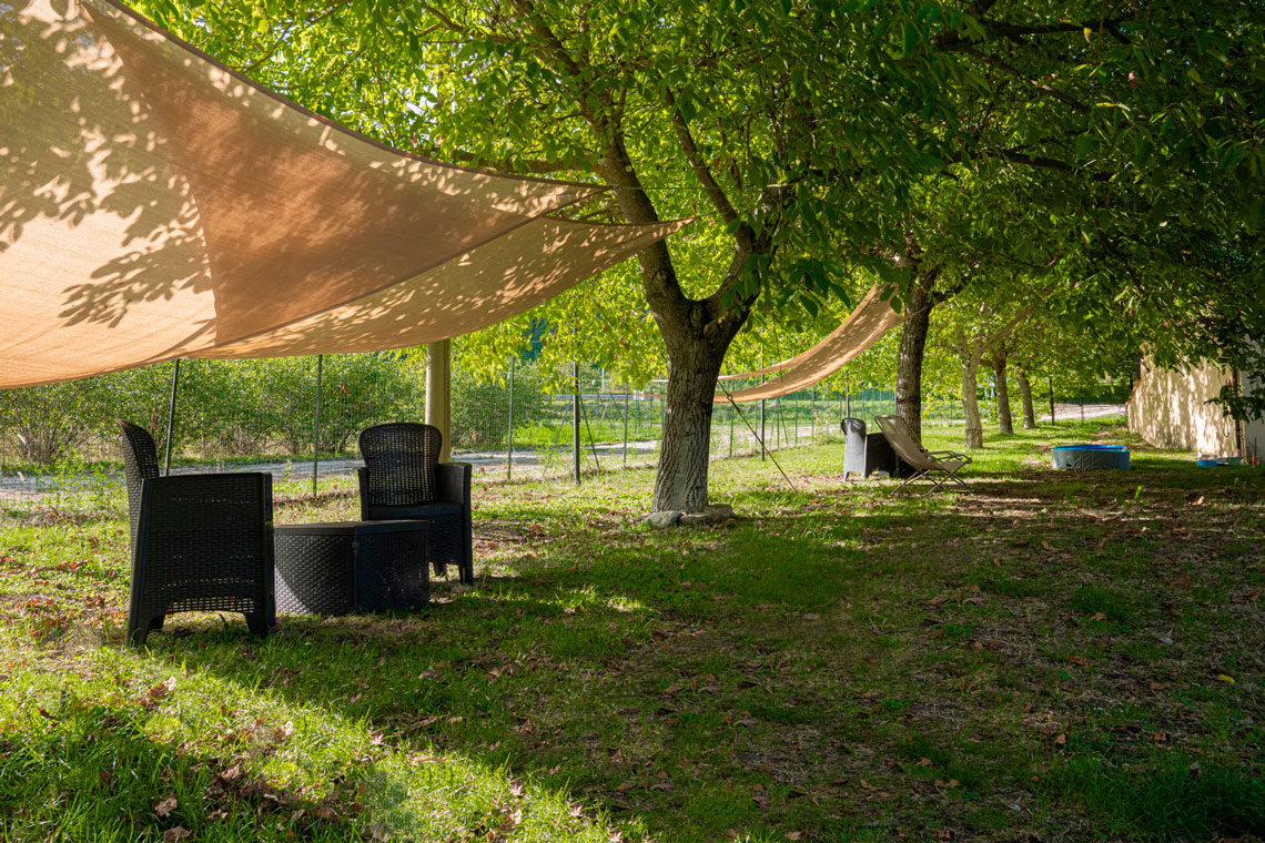 Area relax all'ombra degli alberi in agriturismo umbro, con sedie confortevoli e natura rigogliosa circostante.