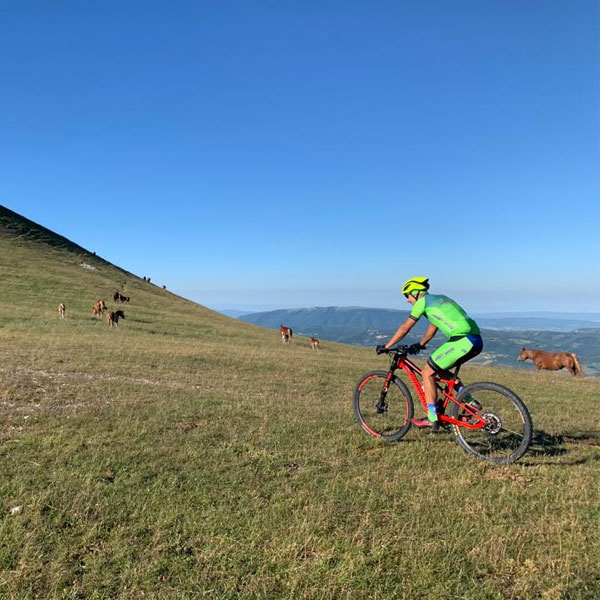 Ciclista esplora in bici i panorami collinari dell'Umbria, circondato da cavalli al pascolo.