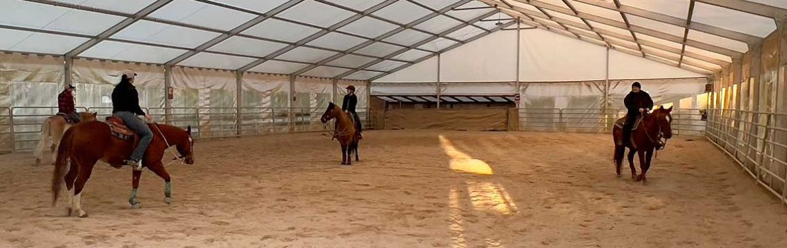Lezioni di equitazione in una struttura coperta in agriturismo umbro, ideale per turisti amanti dei cavalli.