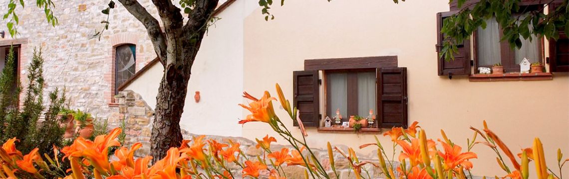 Giardino colorato con fiori arancioni davanti a una casa di pietra con finestre e porta in legno scuro.